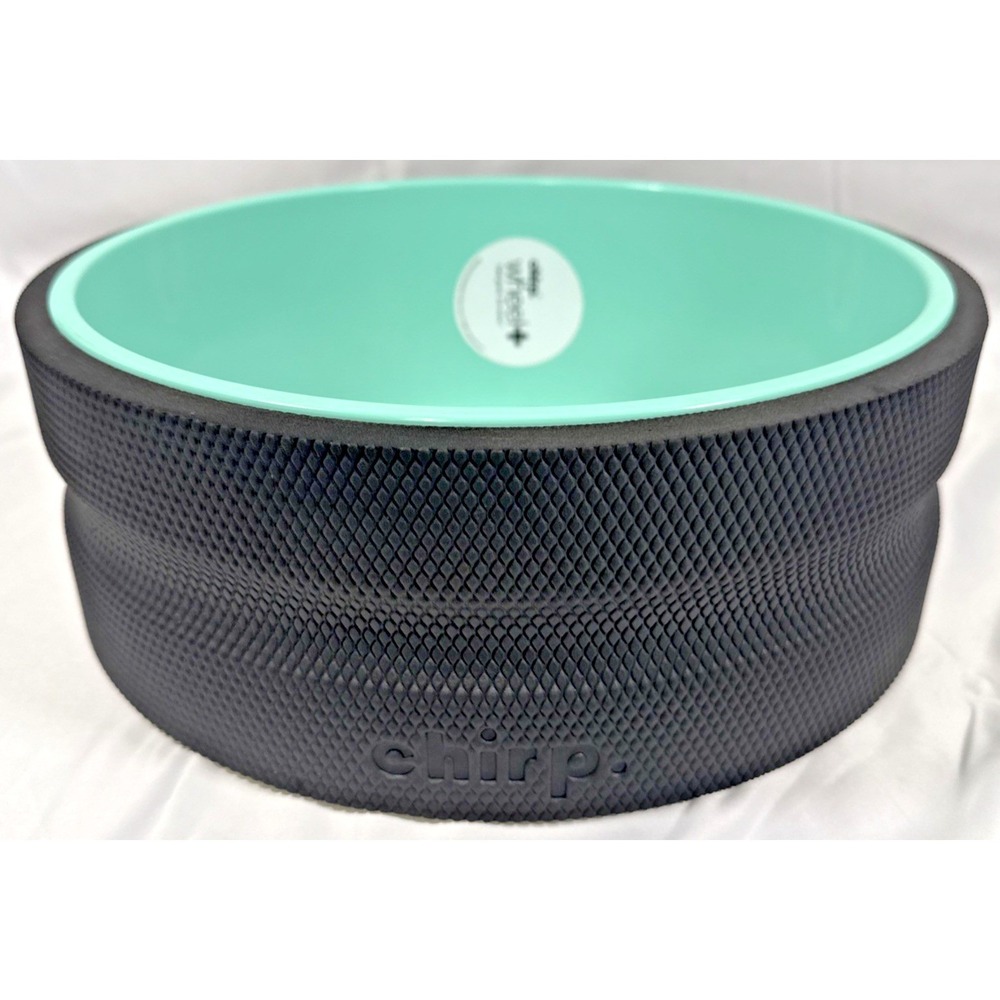 Chirp Wheel+ Back Roller 12 Inch Black Mint Green Spinal Relief Tool